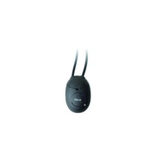 Receptor Nice SMX2R